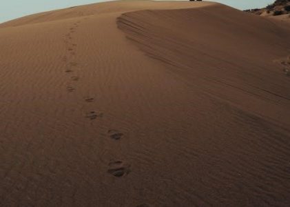 dune adventures in the imperium pdf