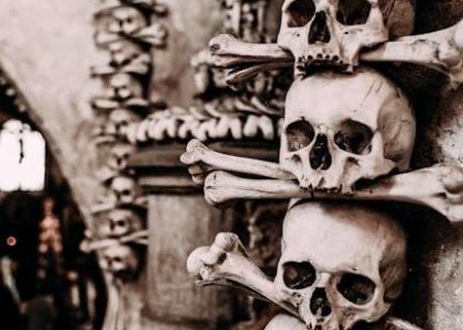 west of dead trophy guide