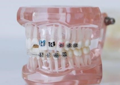 nova scotia dental fee guide 2024