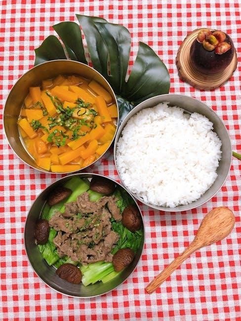 yum asia rice cooker manual