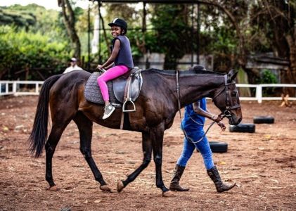 uo animal taming guide